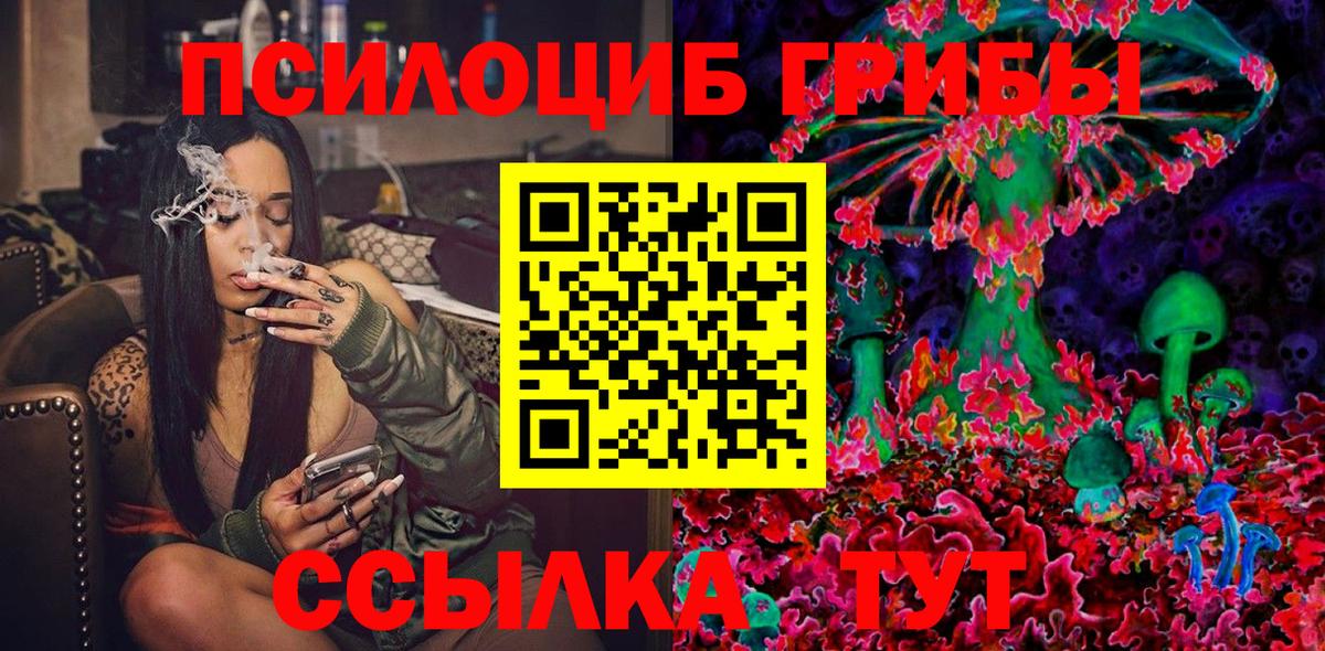 Губкинский  где продают наркотики  Вход с VPN  Галлюциногенные грибы Psilocybe 